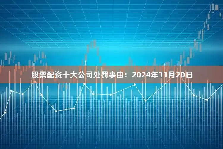 股票配资十大公司处罚事由：2024年11月20日