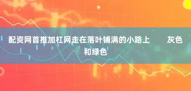 配资网首推加杠网走在落叶铺满的小路上        灰色和绿色