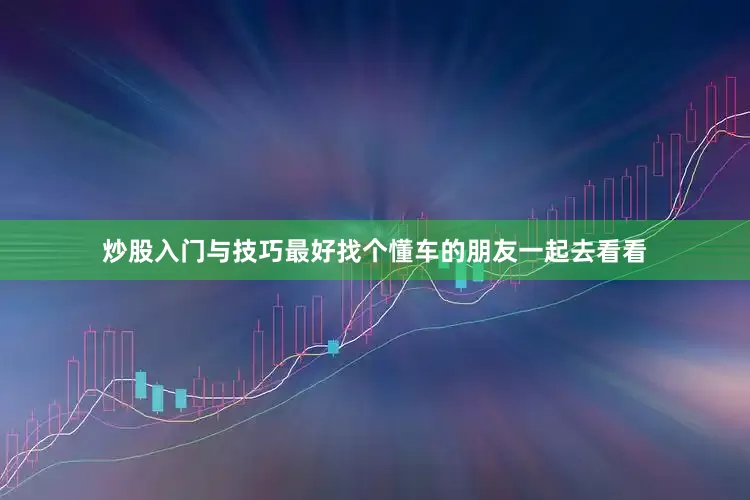 炒股入门与技巧最好找个懂车的朋友一起去看看